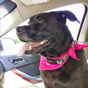 Meet your Posher, Paul